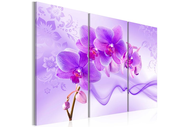 Bilde Ethereal Orchid Violet 60x40 - Artgeist sp. z o. o. - Lerretsbilder