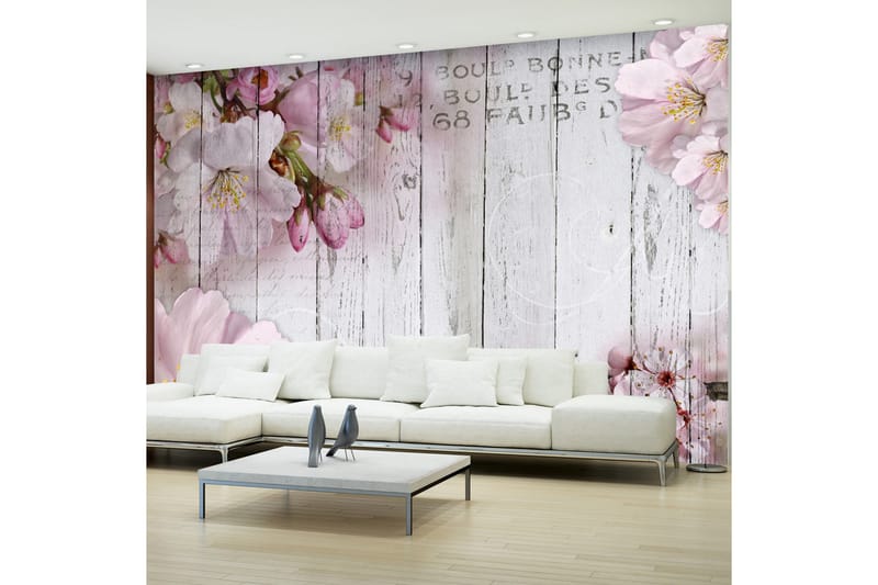 Fototapet Apple Blossoms 250x175 - Artgeist sp. z o. o. - Fototapeter