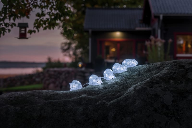 Mus akryl 5 stk LED Transparent - Konstsmide - Dekorasjonsbelysning - Barnelampe - Dekorasjonsbelysning dyr & figurer