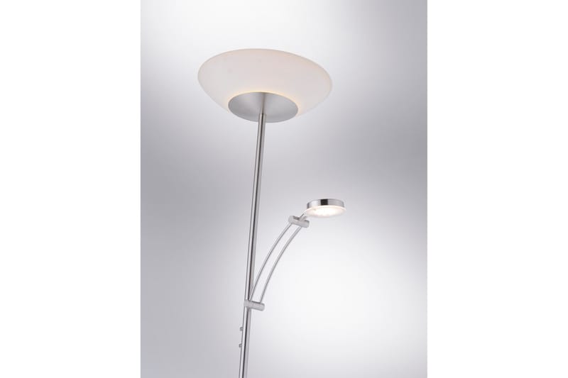 ALFRED Gulvlampe - Belysning - Innendørsbelysning & Lamper - Gulvlampe - Uplight gulvlampe