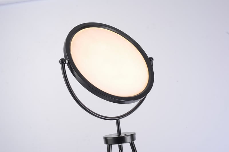CARL Gulvlampe - Svart - Belysning - Innendørsbelysning & Lamper - Gulvlampe