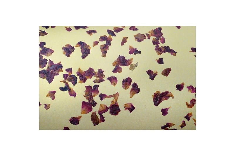 Gulvlampe Eglo Castuera Gull med Roseblad - Belysning - Innendørsbelysning & Lamper - Soveromslampe