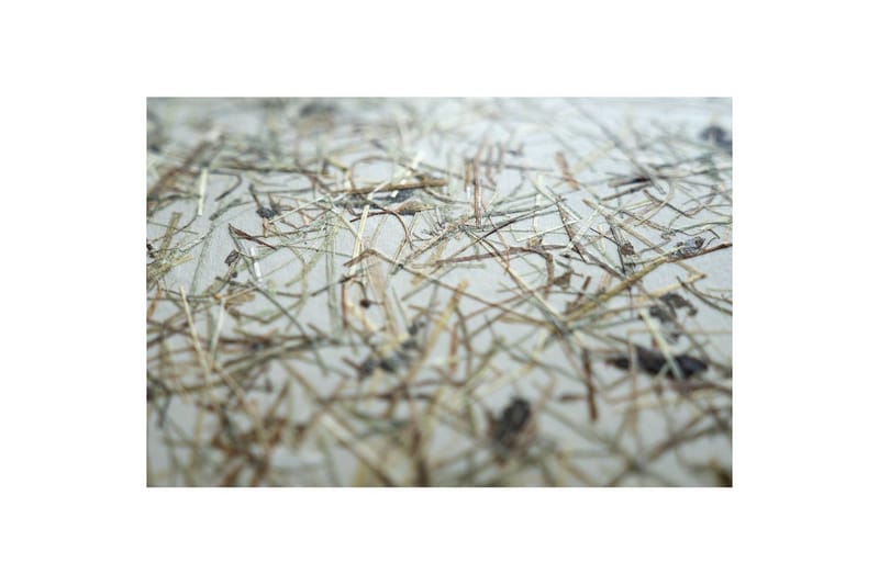 Gulvlampe Eglo Hontongas Brun - Belysning - Innendørsbelysning & Lamper - Soveromslampe