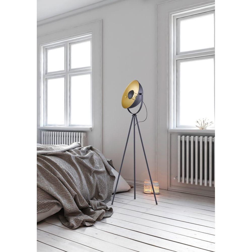 Gulvlampe TRIO Chewy -