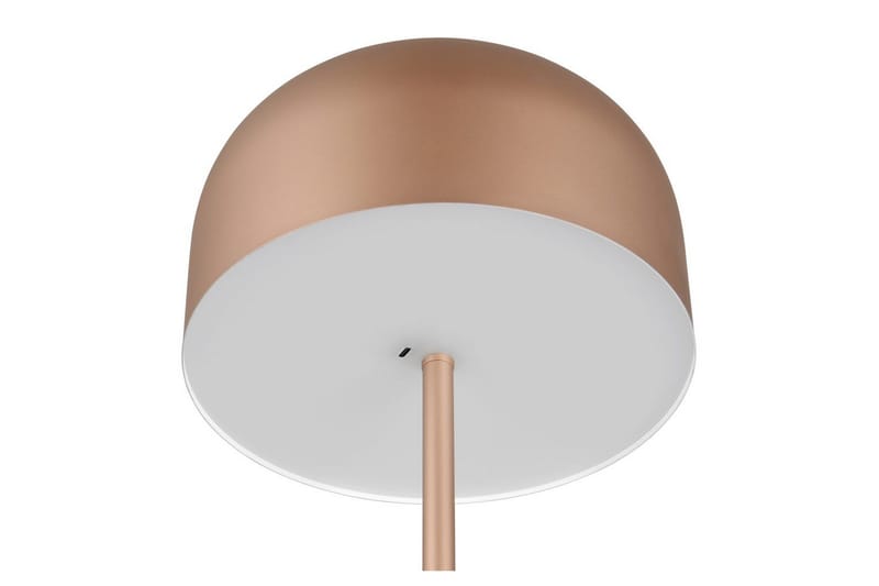 Gulvlampe TRIO Jeff Kaffebrun - Kaffebrun - Belysning - Innendørsbelysning & Lamper - Soveromslampe