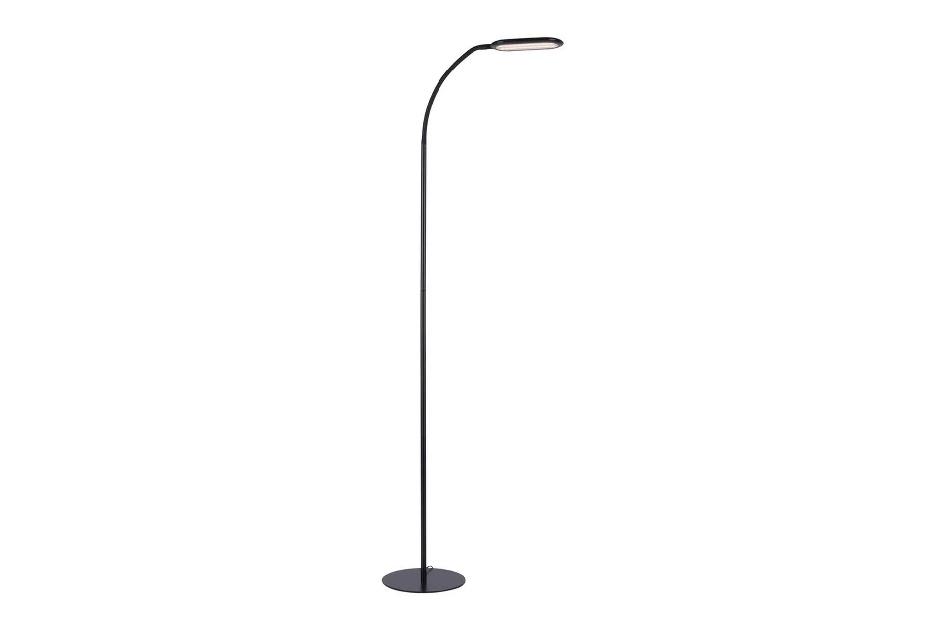 Kelly Just Light Gulvlampe -