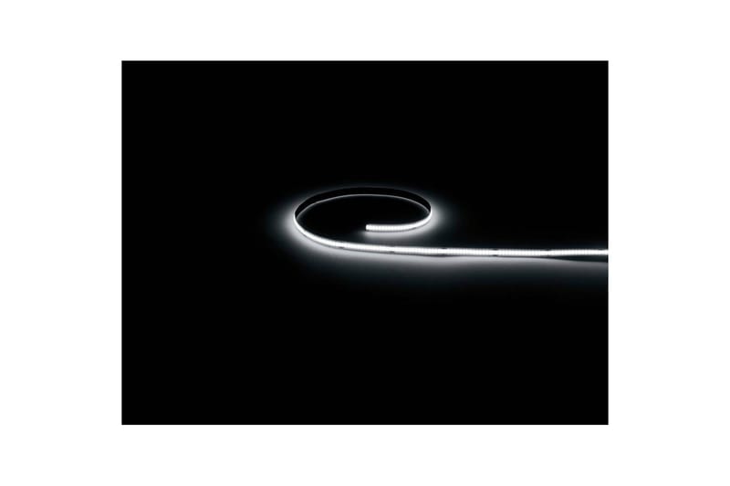 Lyslist Eglo Cob CCT 8 m - 8 m - Belysning - Innendørsbelysning & Lamper - Dekorasjonsbelysning