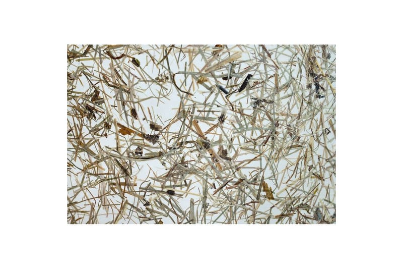 Bordlampe Eglo Hontongas Brun - Belysning - Innendørsbelysning & Lamper - Nattlampe - Nattlampe bord