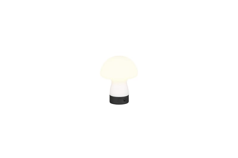 Bordlampe TRIO Dooley Matt hvit - Matt hvit - Belysning - Innendørsbelysning & Lamper - Nattlampe - Nattlampe bord