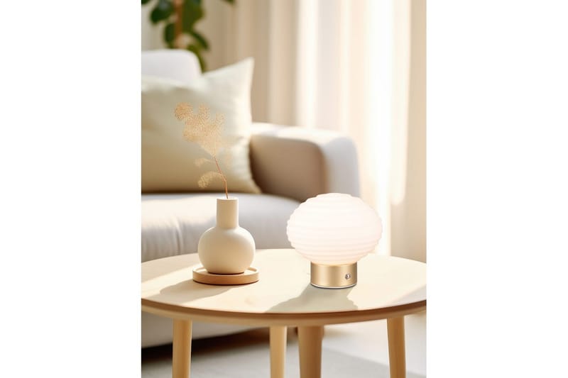 Bordlampe TRIO Earl Matt messing/hvit - Matt messing/hvit - Belysning - Innendørsbelysning & Lamper - Nattlampe - Nattlampe bord
