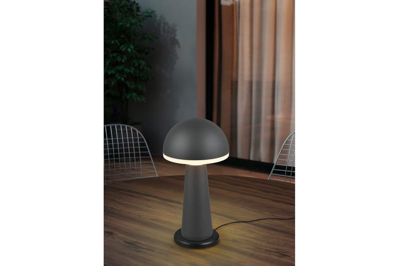 Bordlampe TRIO Fungo Antrasitt - Antrasitt - Belysning - Innendørsbelysning & Lamper - Nattlampe - Nattlampe bord