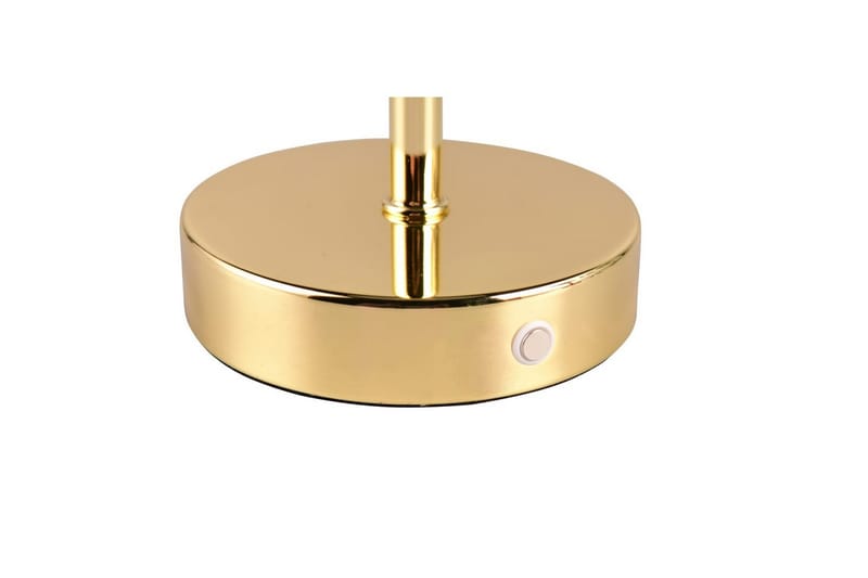 Bordlampe TRIO Jeff Polert messing - Polert messing - Belysning - Innendørsbelysning & Lamper - Nattlampe - Nattlampe bord