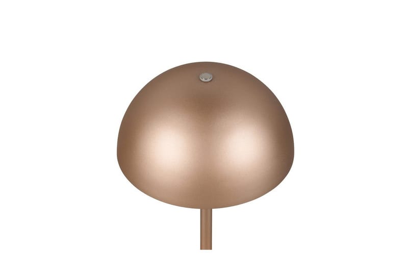 Bordlampe TRIO Munoz Kaffebrun - Kaffebrun - Belysning - Innendørsbelysning & Lamper - Nattlampe - Nattlampe bord