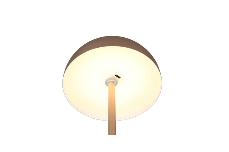 Bordlampe TRIO Munoz Kaffebrun - Kaffebrun - Belysning - Innendørsbelysning & Lamper - Nattlampe - Nattlampe bord