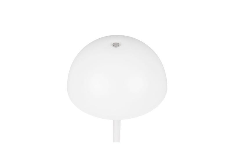 Bordlampe TRIO Munoz Matt hvit - Matt hvit - Belysning - Innendørsbelysning & Lamper - Nattlampe - Nattlampe bord