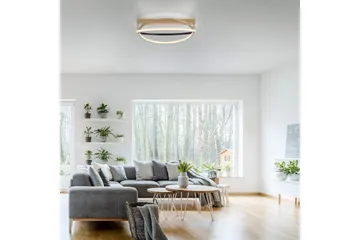 Q-Beluga Paul Neuhaus Taklampe - Belysning - Innendørsbelysning & Lamper - Soveromslampe - Taklampa sovrum