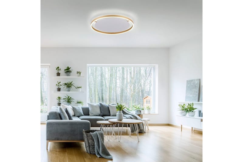 Taklampe Ritus - 58,5x5,3x58,5 cm, Messing Matt - Belysning - Innendørsbelysning & Lamper - Soveromslampe - Taklampa sovrum