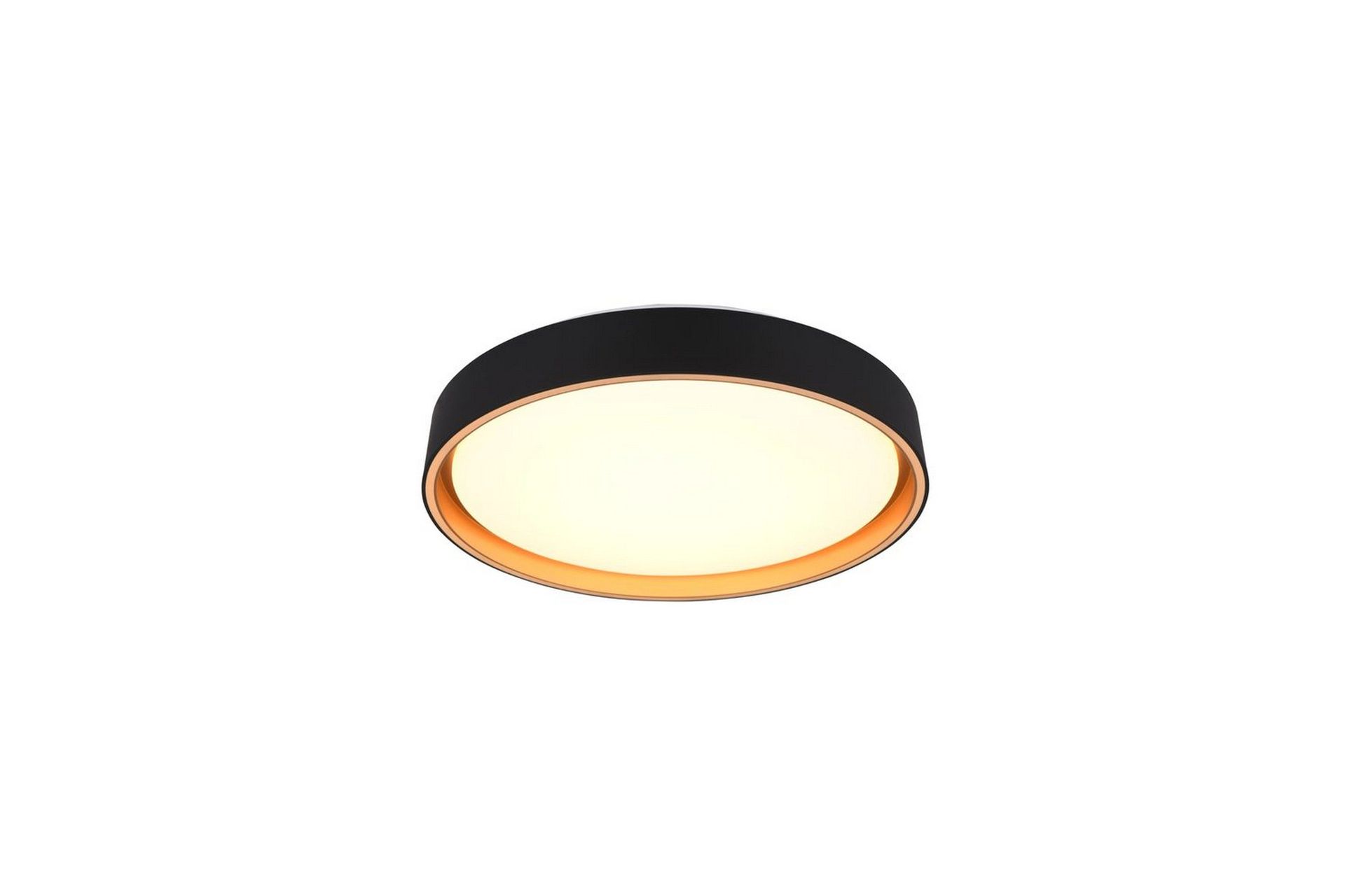 Taklampe TRIO Felis -