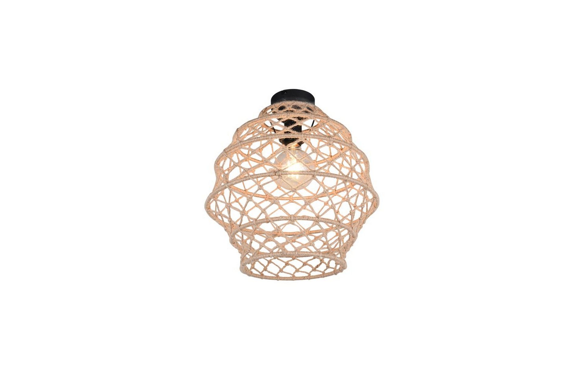 Taklampe TRIO Hive -