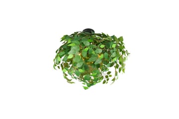 Taklampe TRIO Leavy 70 cm - 70 cm - Belysning - Innendørsbelysning & Lamper - Soveromslampe - Taklampa sovrum