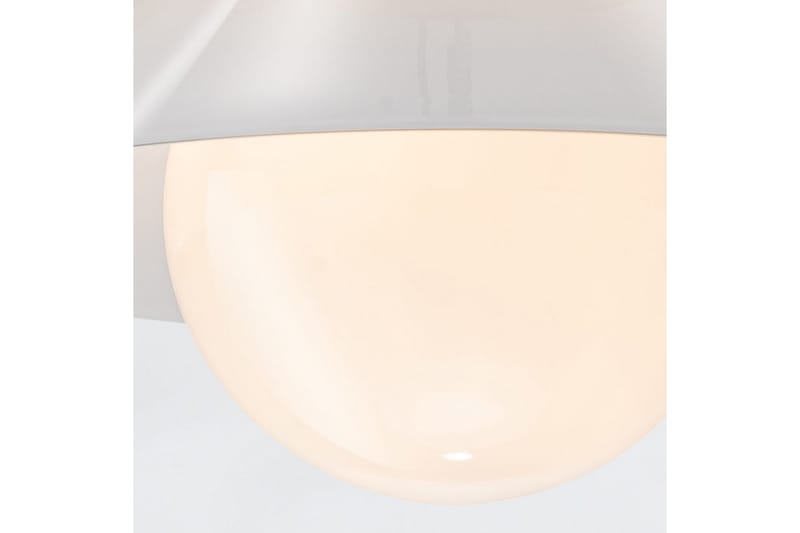 Tallerken Quintiesse Taklampe - Belysning - Innendørsbelysning & Lamper - Soveromslampe - Taklampa sovrum