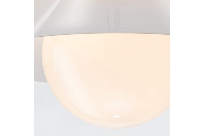 Tallerken Quintiesse Taklampe - Belysning - Innendørsbelysning & Lamper - Soveromslampe - Taklampa sovrum