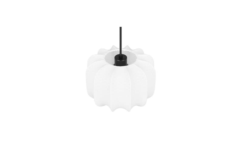Pendel TRIO Madeline 25 cm - 25 cm - Belysning - Innendørsbelysning & Lamper - Taklampe - Pendellamper & Hengelamper