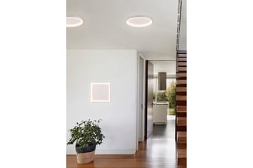 Trio Lighting Rotonda LED Plafond Rund matt hvit - Belysning - Innendørsbelysning & Lamper - Taklampe - Plafondlampe