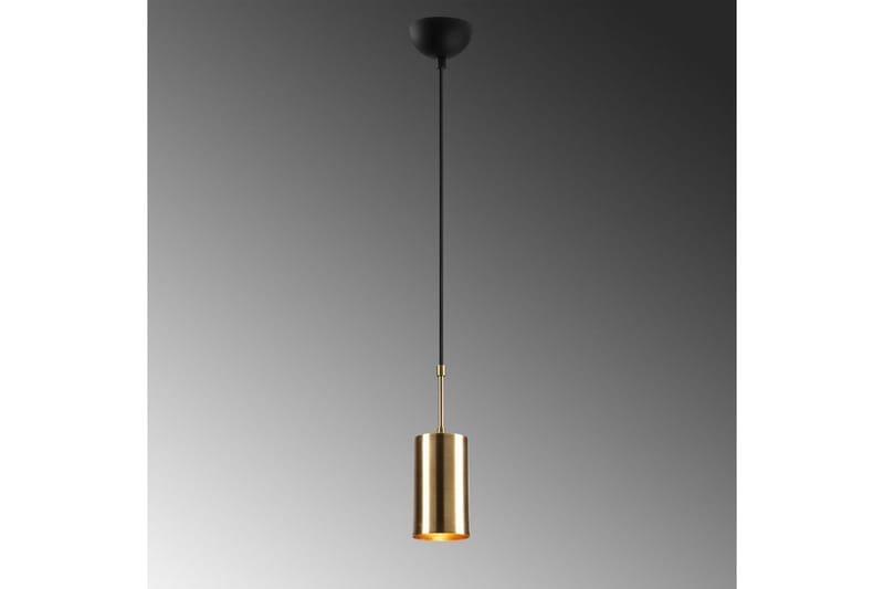 Taklampe Tyrel Gull / Svart Enkeltkontakt - Enkeltkontakt - Belysning - Innend�ørsbelysning & Lamper - Taklampe - Pendellamper & Hengelamper