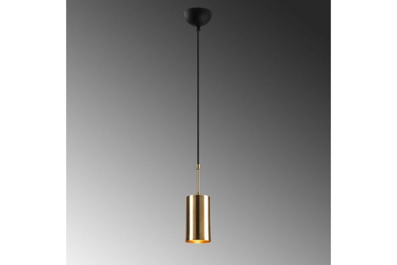 Taklampe Tyrel Gull / Svart Enkeltkontakt - Enkeltkontakt - Belysning - Innendørsbelysning & Lamper - Taklampe - Pendellamper & Hengelamper