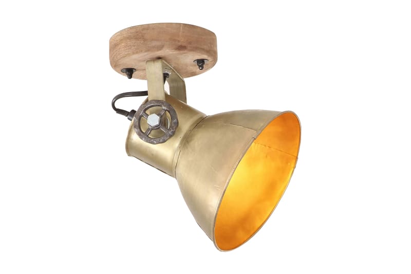 Industrielle vegg-/taklamper 2 stk messing 20x25 cm E27 - Belysning - Innendørsbelysning & Lamper - Vegglampe