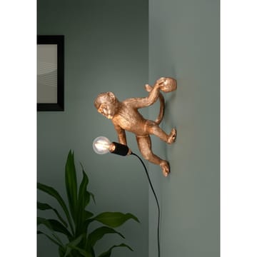 Vegglampe TRIO Louy - Gull - Belysning - Innendørsbelysning & Lamper - Vegglampe