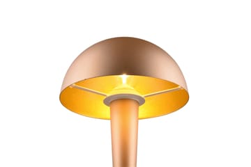 Trio Lighting Canaria bordlampe E14 (inkl.) kaffe brun - Belysning - Innendørsbelysning & Lamper - Vinduslampe - Vinduslampe på fot