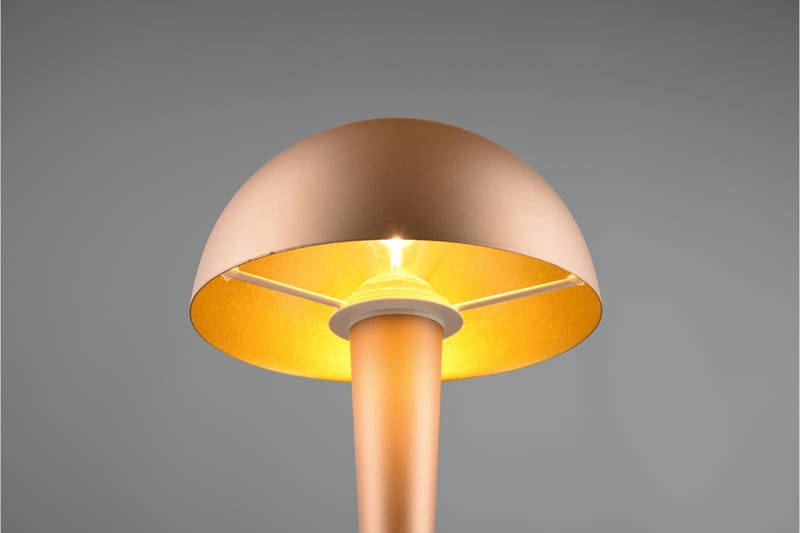 Trio Lighting Canaria bordlampe E14 (inkl.) kaffe brun - Belysning - Innendørsbelysning & Lamper - Vinduslampe - Vinduslampe på fot