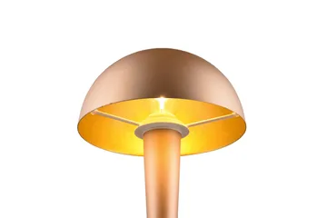 Trio Lighting Canaria bordlampe E14 (inkl.) kaffe brun - Belysning - Innendørsbelysning & Lamper - Vinduslampe - Vinduslampe på fot