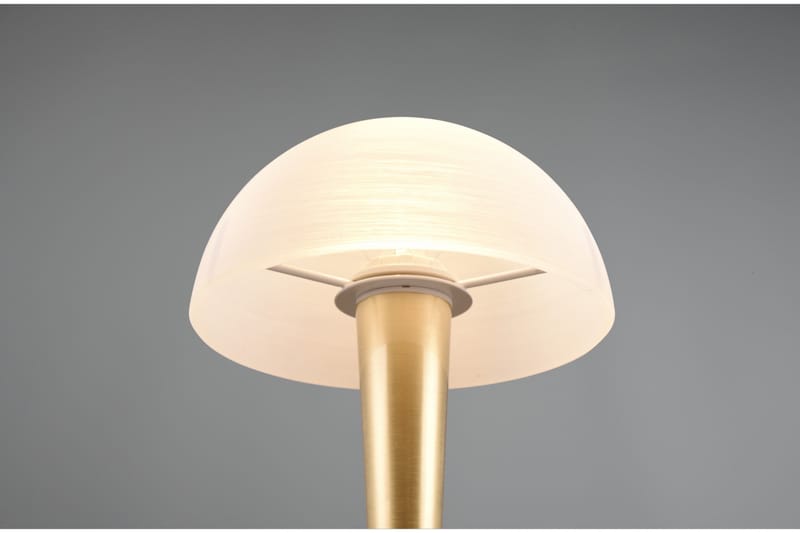 Trio Lighting Canaria Bordlampe E14 (inkl.) Matt Messing - Belysning - Innendørsbelysning & Lamper - Vinduslampe - Vinduslampe på fot