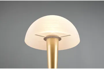 Trio Lighting Canaria Bordlampe E14 (inkl.) Matt Messing - Belysning - Innendørsbelysning & Lamper - Vinduslampe - Vinduslampe på fot