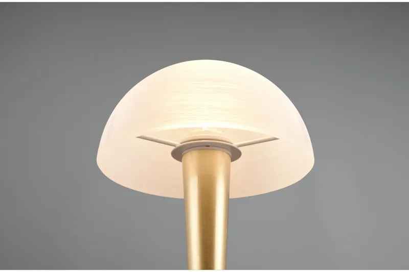 Trio Lighting Canaria Bordlampe E14 (inkl.) Matt Messing - Belysning - Innendørsbelysning & Lamper - Vinduslampe - Vinduslampe på fot