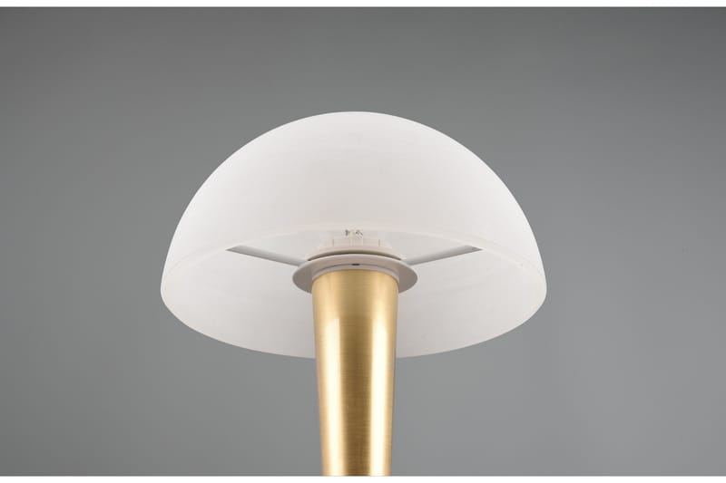 Trio Lighting Canaria Bordlampe E14 (inkl.) Matt Messing - Belysning - Innendørsbelysning & Lamper - Vinduslampe - Vinduslampe på fot