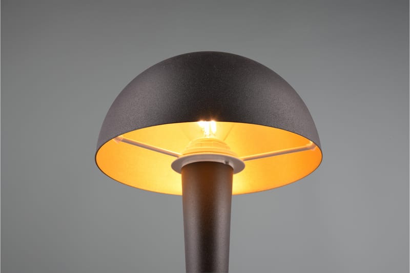 Trio Lighting Canaria bordlampe E14 (inkl.) matt svart - Belysning - Innendørsbelysning & Lamper - Vinduslampe - Vinduslampe på fot