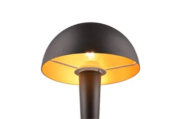 Trio Lighting Canaria bordlampe E14 (inkl.) matt svart - Belysning - Innendørsbelysning & Lamper - Vinduslampe - Vinduslampe på fot