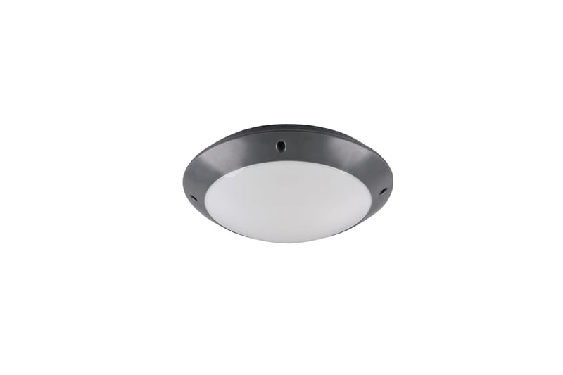 Bringardner Plafond - TRIO - Belysning - Innendørsbelysning & Lamper - Vinduslampe - Vinduslampe hengende