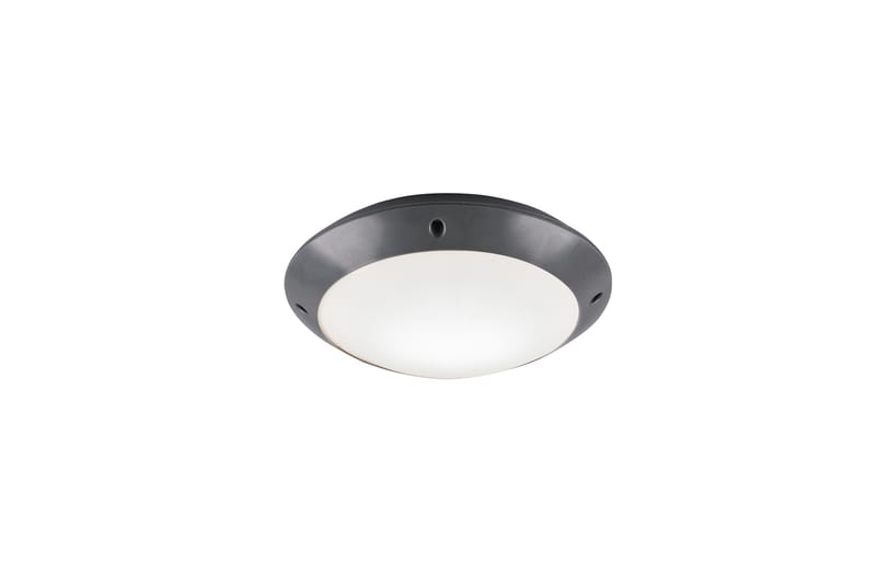 Bringardner Plafond - TRIO - Belysning - Innendørsbelysning & Lamper - Vinduslampe - Vinduslampe hengende