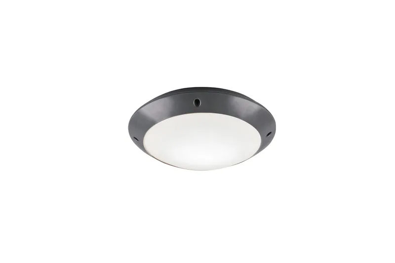 Bringardner Plafond, TRIO
