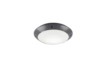 Bringardner Plafond - TRIO - Belysning - Innendørsbelysning & Lamper - Vinduslampe - Vinduslampe hengende