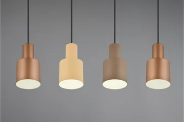 Trio Lighting Agudo Taklampe 4L E27 Flerfarget - Belysning - Innendørsbelysning & Lamper - Vinduslampe - Vinduslampe hengende