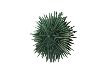 Sälen Adventsstjerne / Julelampe 60 cm - Grønn - Belysning - Julebelysning - Julestjerne & adventsstjerne