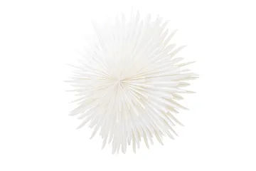 Sälen Adventsstjerne / Julelampe 100 cm - Hvid - Belysning - Julebelysning - Julestjerne & adventsstjerne