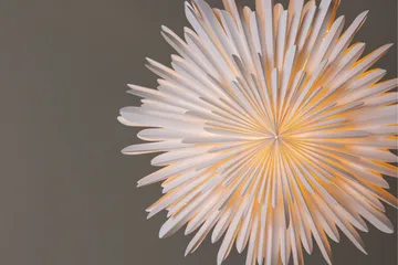 Sälen Adventsstjerne / Julelampe 60 cm - Hvid - Belysning - Julebelysning - Julestjerne & adventsstjerne