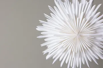 Sälen Adventsstjerne / Julelampe 60 cm - Hvid - Belysning - Julebelysning - Julestjerne & adventsstjerne